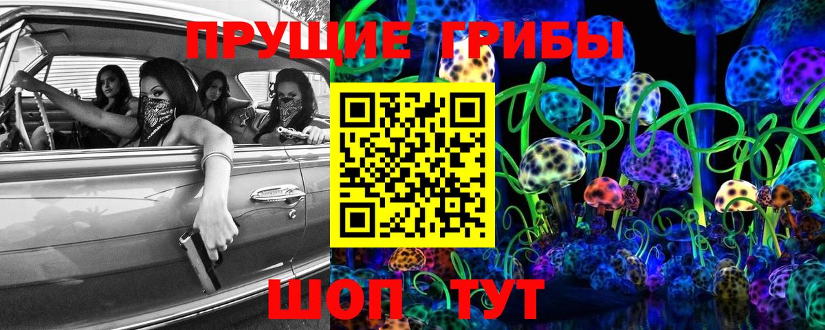 Псилоцибиновые грибы Psilocybe  Вход с VPN  Королёв 